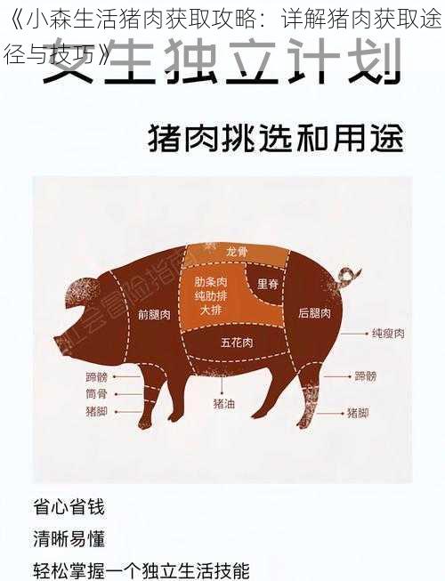 《小森生活猪肉获取攻略：详解猪肉获取途径与技巧》