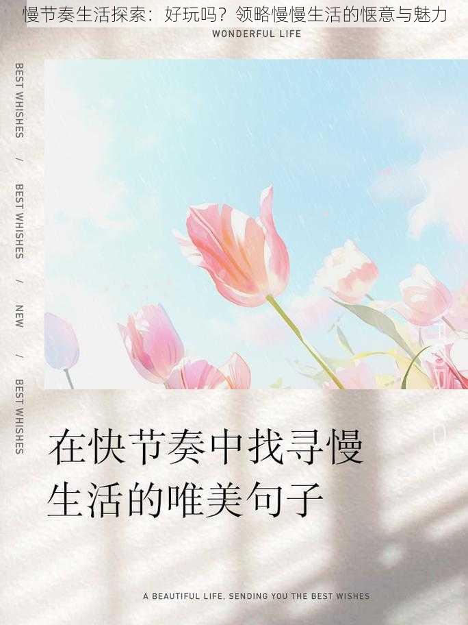 慢节奏生活探索：好玩吗？领略慢慢生活的惬意与魅力