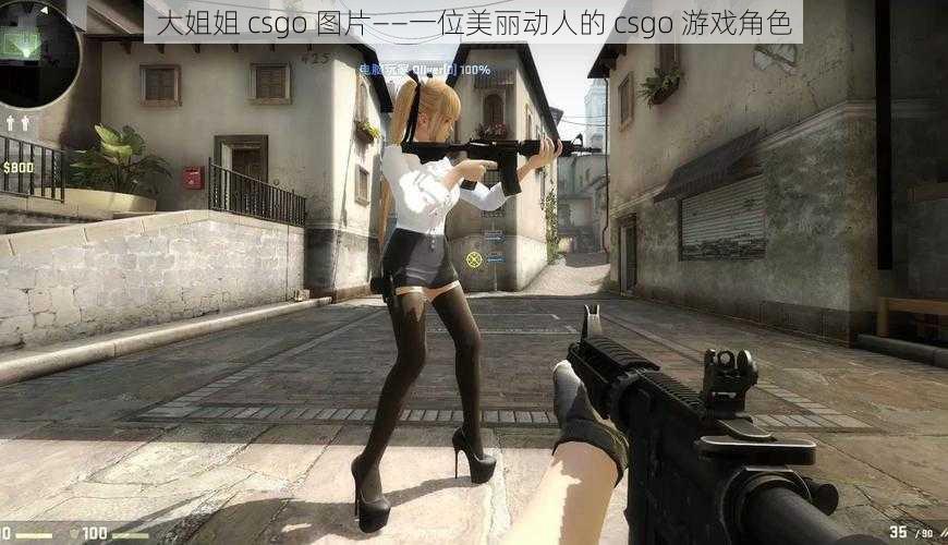 大姐姐 csgo 图片——一位美丽动人的 csgo 游戏角色