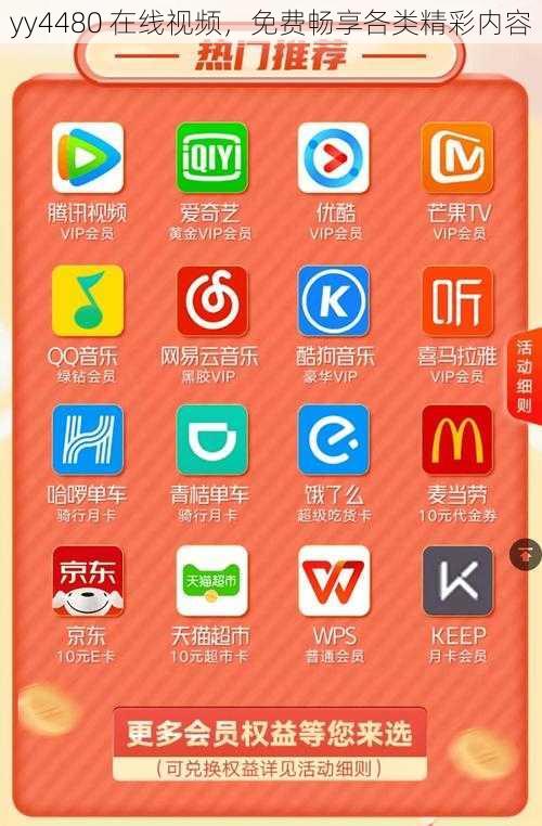 yy4480 在线视频，免费畅享各类精彩内容