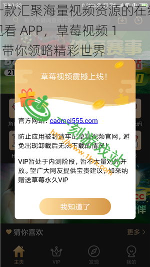 一款汇聚海量视频资源的在线观看 APP，草莓视频 18 带你领略精彩世界