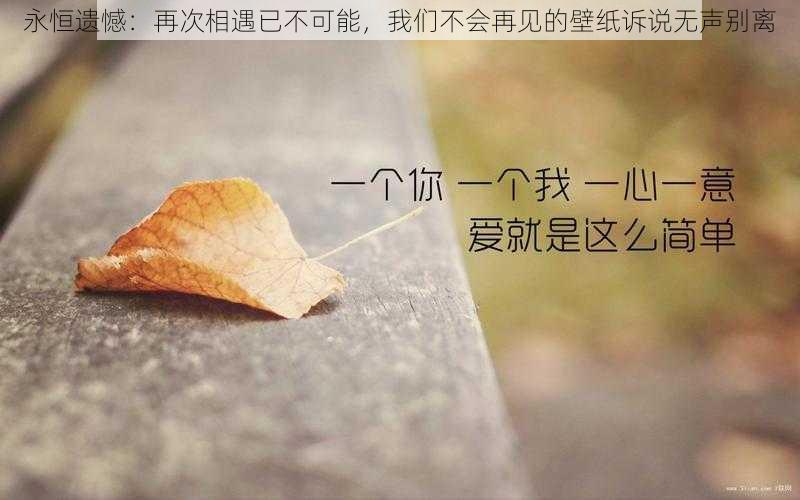 永恒遗憾：再次相遇已不可能，我们不会再见的壁纸诉说无声别离