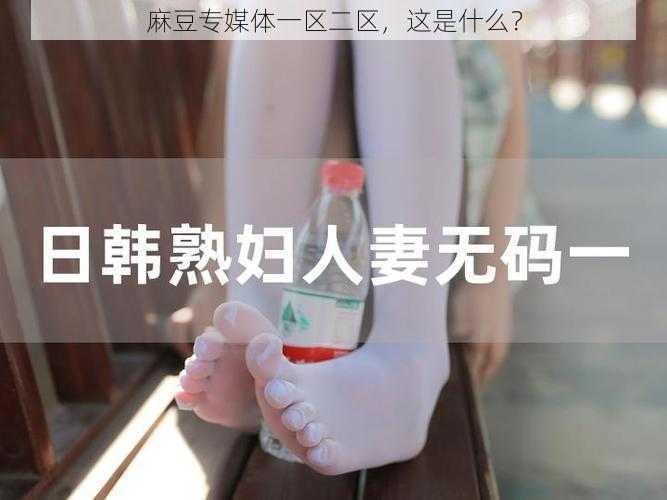 麻豆专媒体一区二区，这是什么？