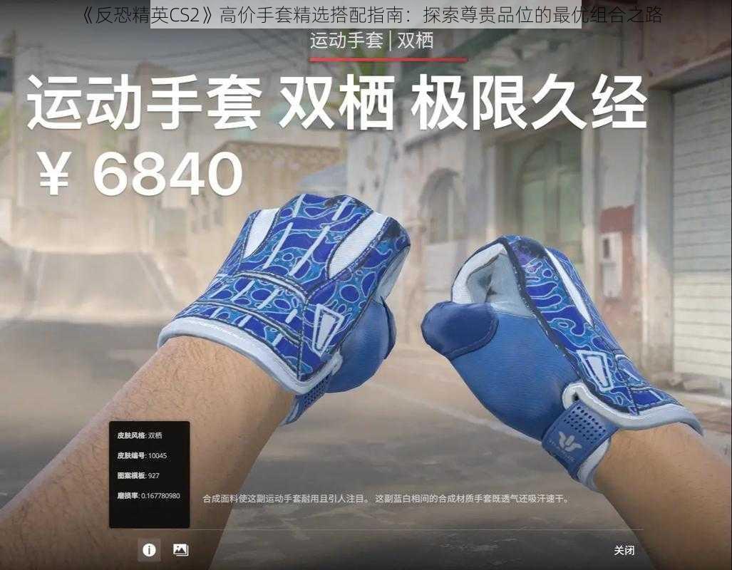 《反恐精英CS2》高价手套精选搭配指南：探索尊贵品位的最优组合之路