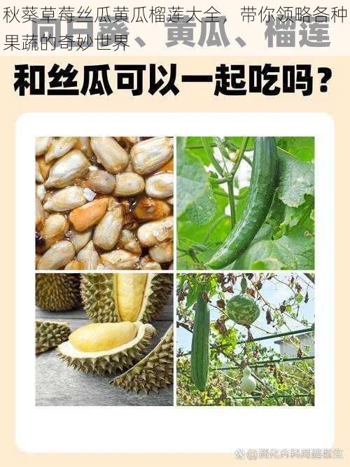 秋葵草莓丝瓜黄瓜榴莲大全，带你领略各种果蔬的奇妙世界