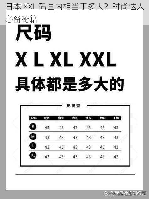 日本 XXL 码国内相当于多大？时尚达人必备秘籍