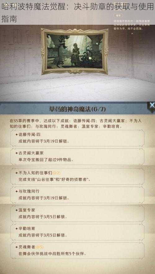 哈利波特魔法觉醒：决斗勋章的获取与使用指南