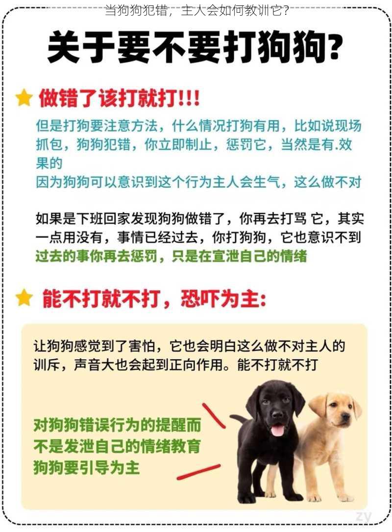 当狗狗犯错，主人会如何教训它？