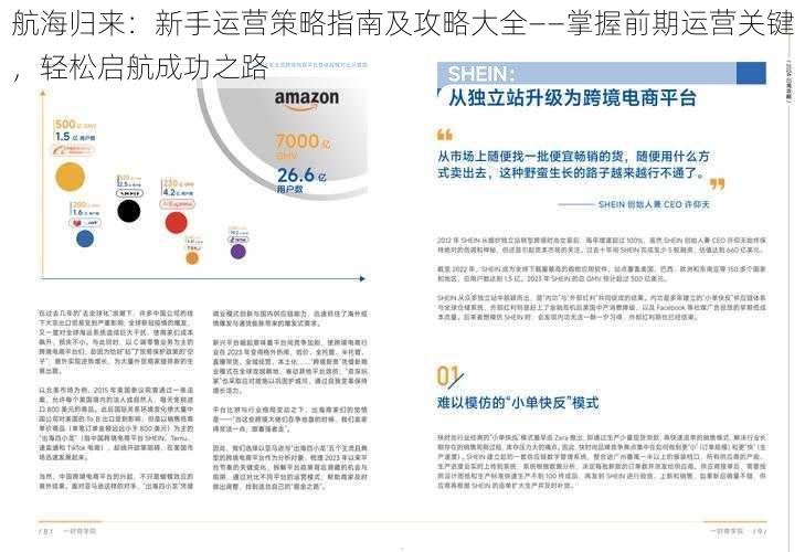 航海归来：新手运营策略指南及攻略大全——掌握前期运营关键，轻松启航成功之路