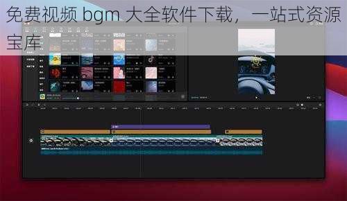 免费视频 bgm 大全软件下载，一站式资源宝库