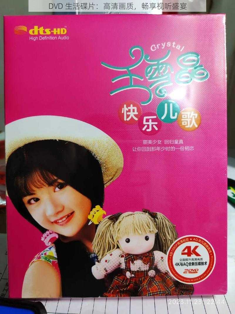 DVD 生活碟片：高清画质，畅享视听盛宴