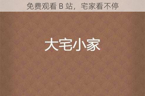 免费观看 B 站，宅家看不停