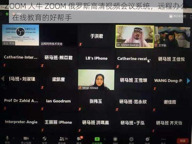 ZOOM 人牛 ZOOM 俄罗斯高清视频会议系统，远程办公、在线教育的好帮手