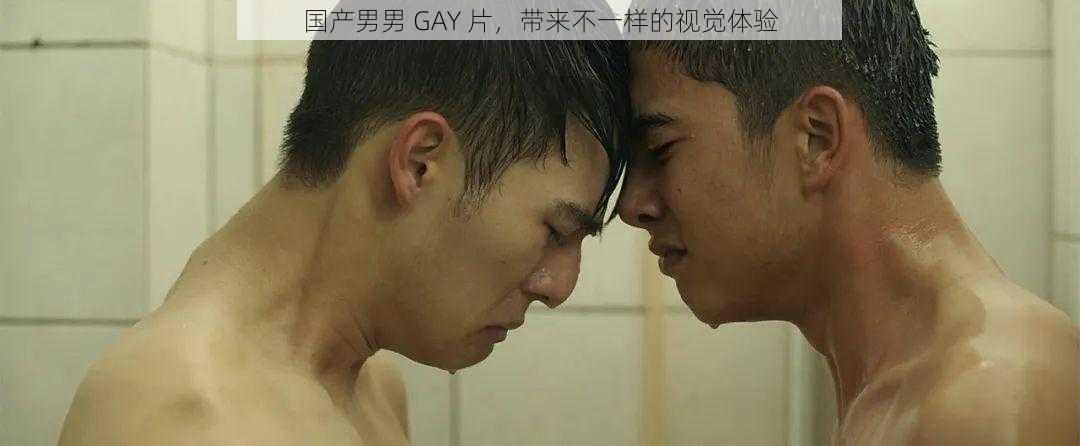 国产男男 GAY 片，带来不一样的视觉体验