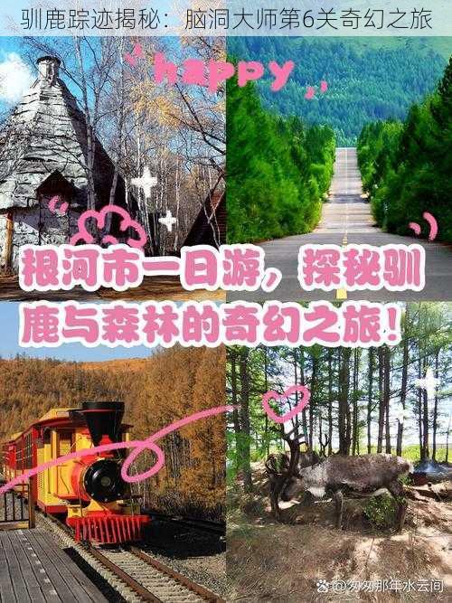 驯鹿踪迹揭秘：脑洞大师第6关奇幻之旅