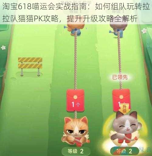 淘宝618喵运会实战指南：如何组队玩转拉拉队猫猫PK攻略，提升升级攻略全解析