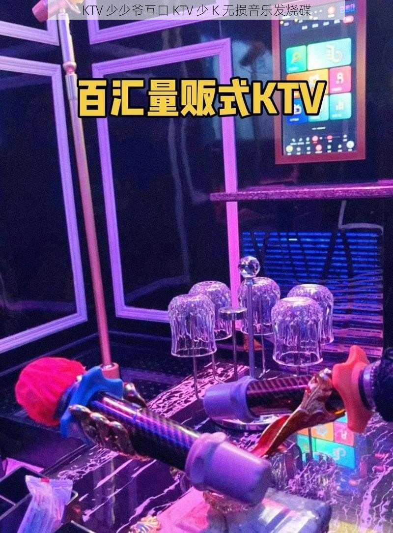 KTV 少少爷互口 KTV 少 K 无损音乐发烧碟