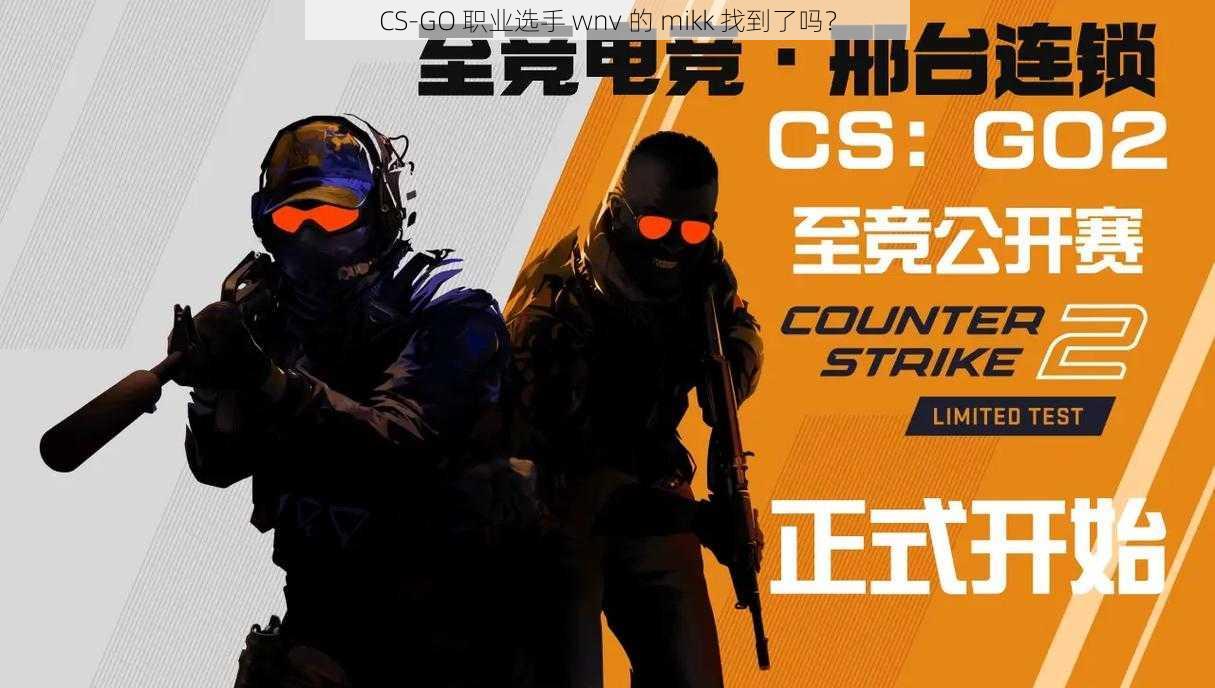 CS-GO 职业选手 wnv 的 mikk 找到了吗？