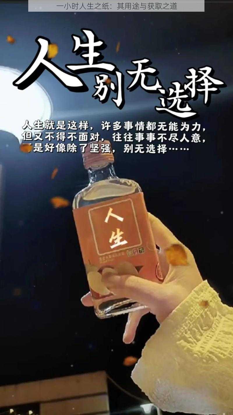 一小时人生之纸：其用途与获取之道