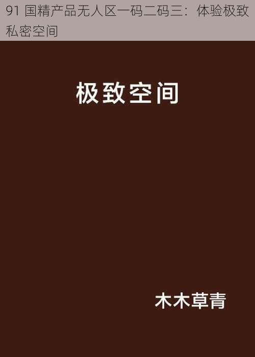 91 国精产品无人区一码二码三：体验极致私密空间