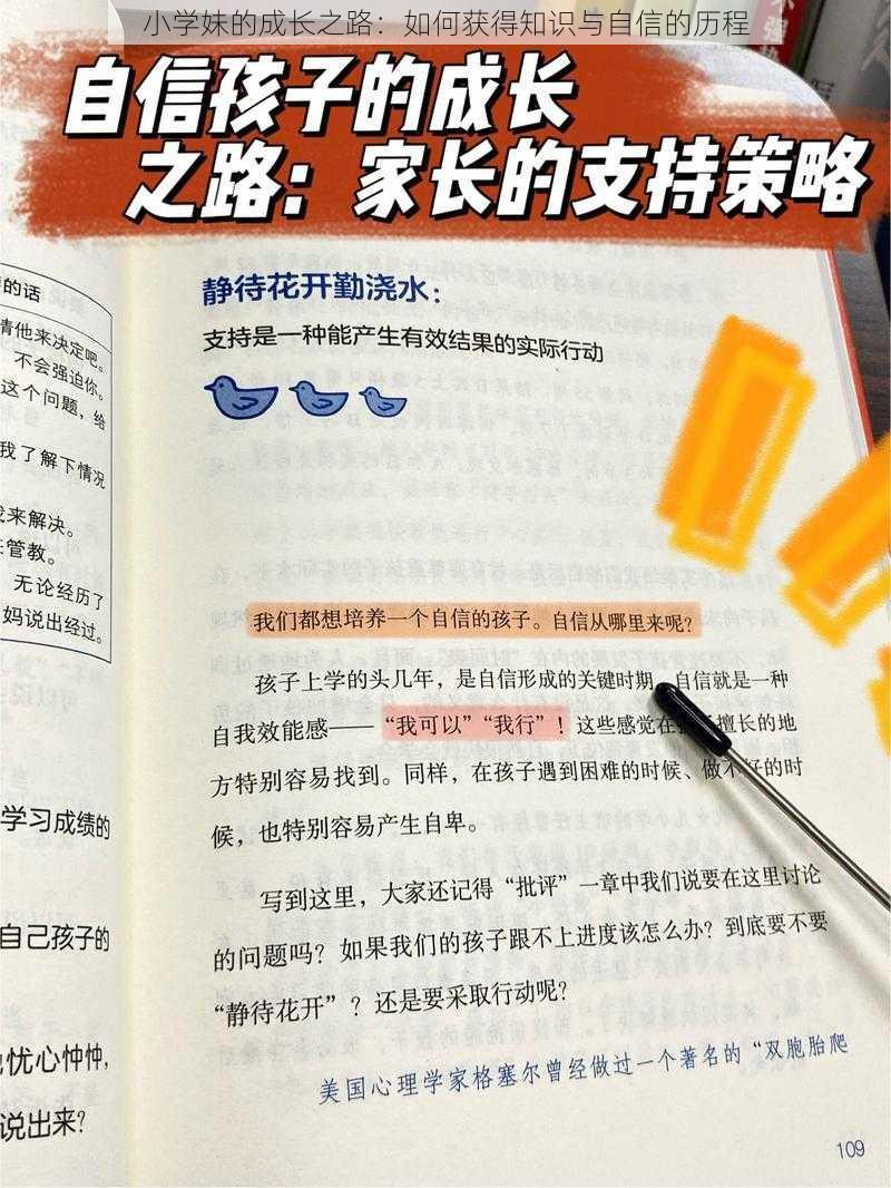 小学妹的成长之路：如何获得知识与自信的历程