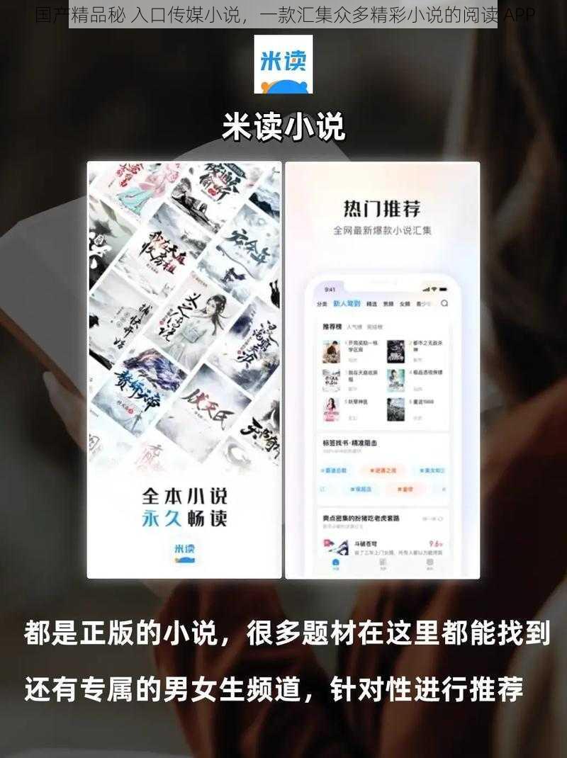 国产精品秘 入口传媒小说，一款汇集众多精彩小说的阅读 APP