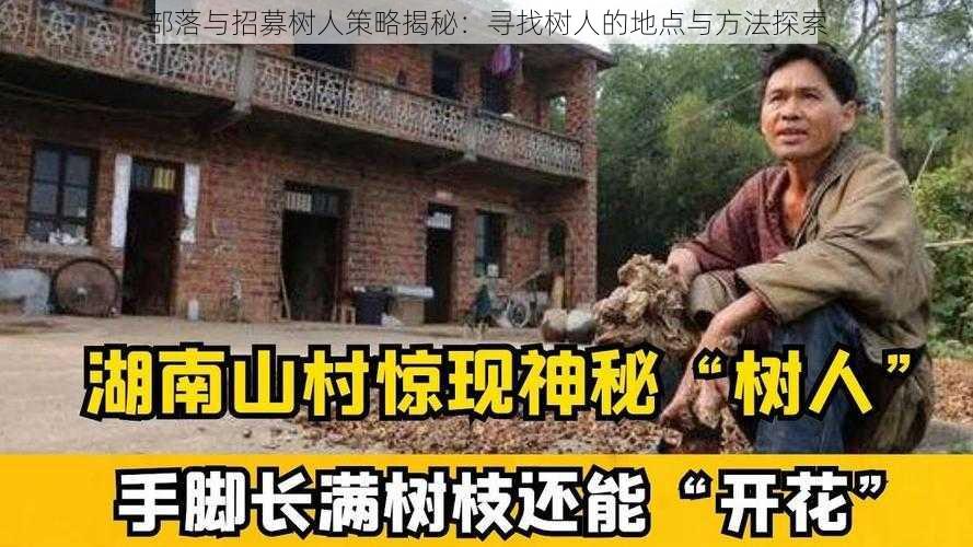 部落与招募树人策略揭秘：寻找树人的地点与方法探索