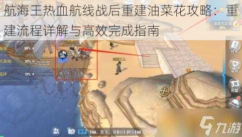 航海王热血航线战后重建油菜花攻略：重建流程详解与高效完成指南