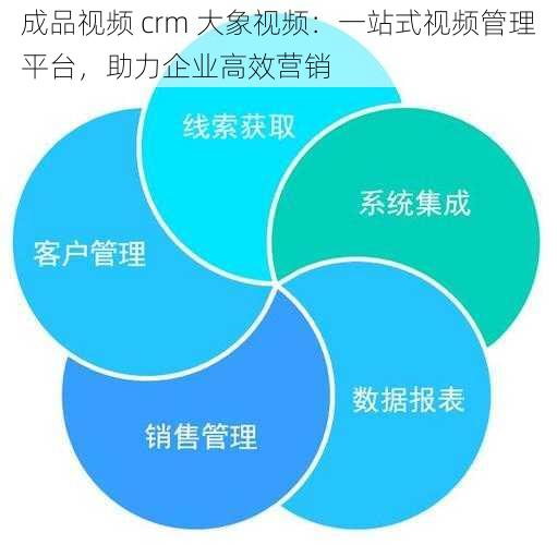 成品视频 crm 大象视频：一站式视频管理平台，助力企业高效营销