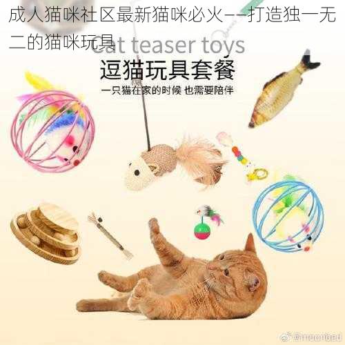 成人猫咪社区最新猫咪必火——打造独一无二的猫咪玩具