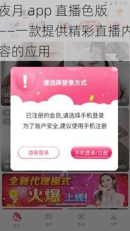 夜月 app 直播色版——一款提供精彩直播内容的应用