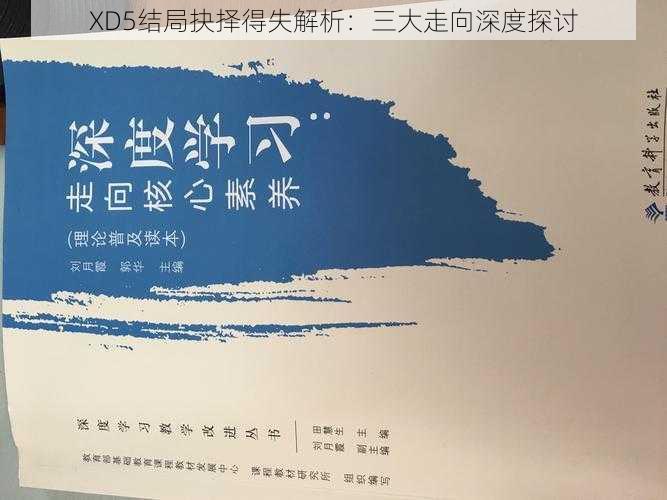 XD5结局抉择得失解析：三大走向深度探讨