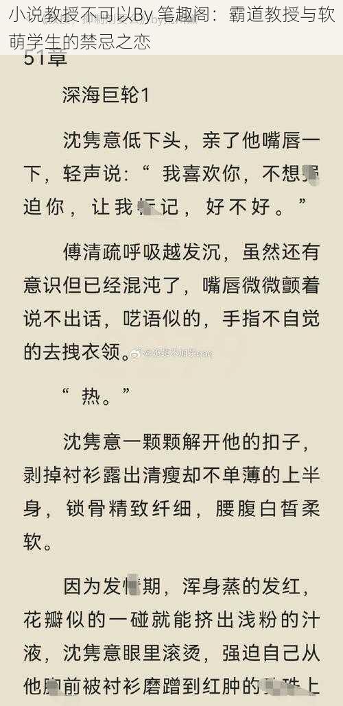 小说教授不可以By 笔趣阁：霸道教授与软萌学生的禁忌之恋