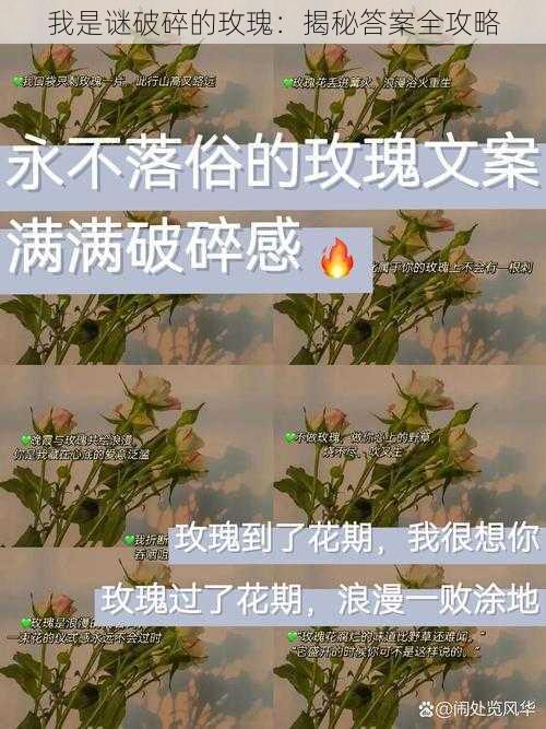 我是谜破碎的玫瑰：揭秘答案全攻略