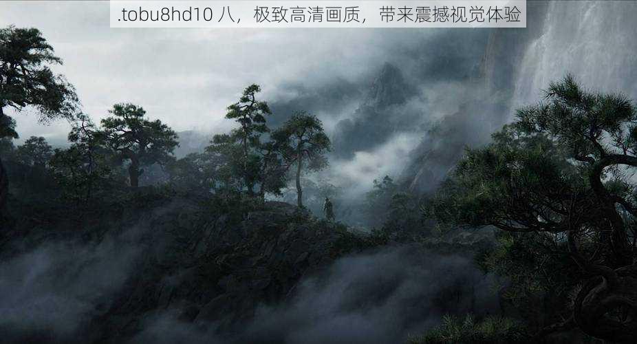 .tobu8hd10 八，极致高清画质，带来震撼视觉体验