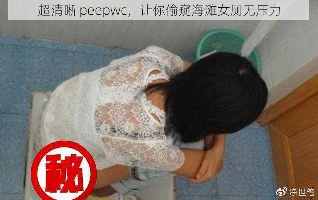 超清晰 peepwc，让你偷窥海滩女厕无压力