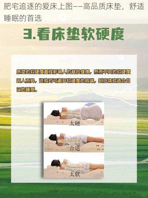 肥宅追逐的爱床上图——高品质床垫，舒适睡眠的首选