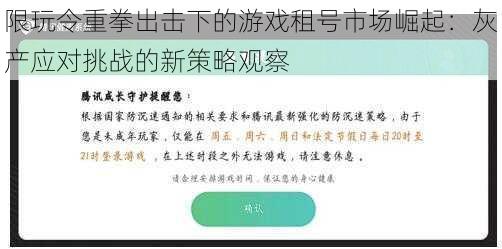 限玩令重拳出击下的游戏租号市场崛起：灰产应对挑战的新策略观察