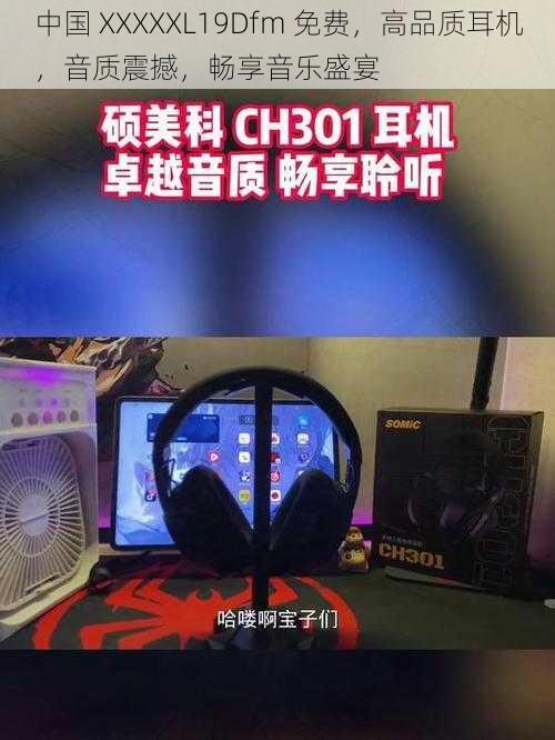 中国 XXXXXL19Dfm 免费，高品质耳机，音质震撼，畅享音乐盛宴