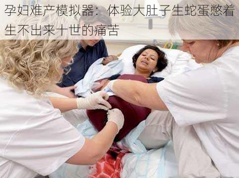 孕妇难产模拟器：体验大肚子生蛇蛋憋着生不出来十世的痛苦