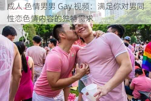 成人 色情男男 Gay 视频：满足你对男同性恋色情内容的独特需求