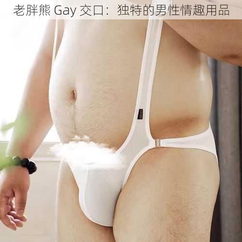 老胖熊 Gay 交口：独特的男性情趣用品