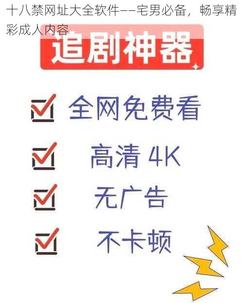 十八禁网址大全软件——宅男必备，畅享精彩成人内容