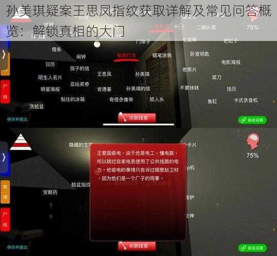 孙美琪疑案王思凤指纹获取详解及常见问答概览：解锁真相的大门