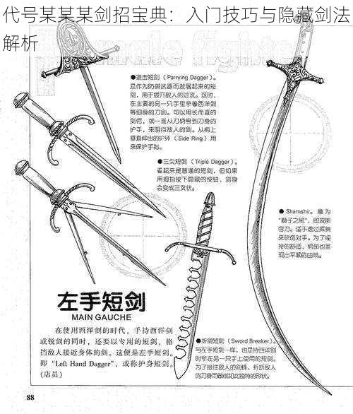 代号某某某剑招宝典：入门技巧与隐藏剑法解析