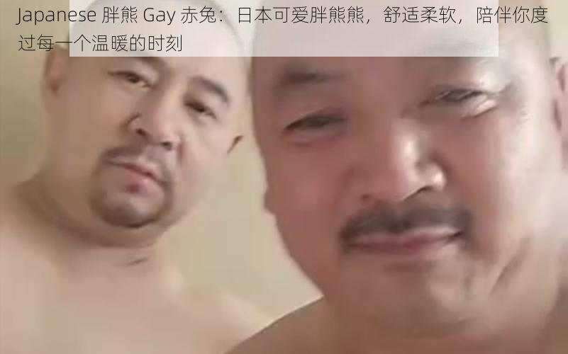 Japanese 胖熊 Gay 赤兔：日本可爱胖熊熊，舒适柔软，陪伴你度过每一个温暖的时刻