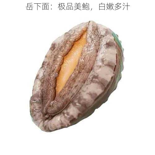 岳下面：极品美鲍，白嫩多汁