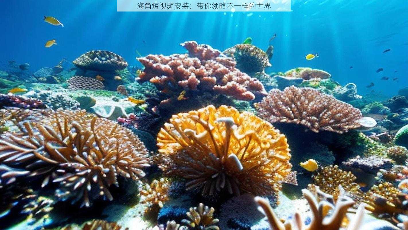 海角短视频安装：带你领略不一样的世界