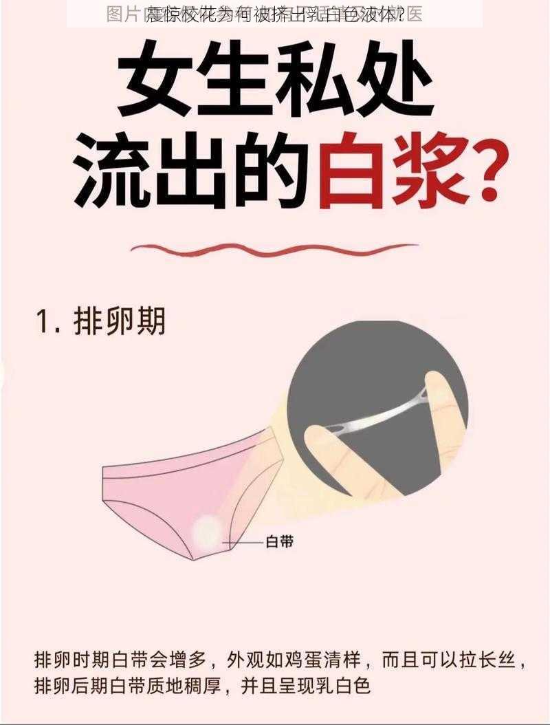 震惊校花为何被挤出乳白色液体？