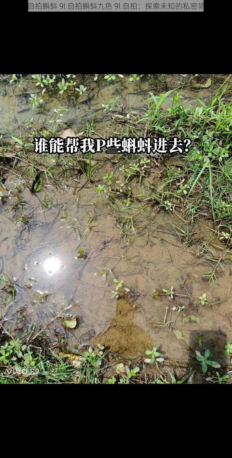 9I 自拍蝌蚪 9l 自拍蝌蚪九色 9l 自拍：探索未知的私密领域